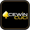 ACEWINCUCI