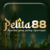 Pelita88